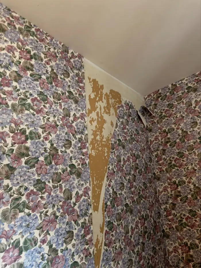 Wallpaper being removed from a wall